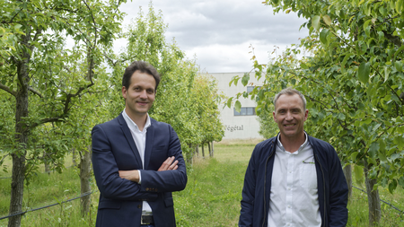 GREEN IMPULSE – Fundraising